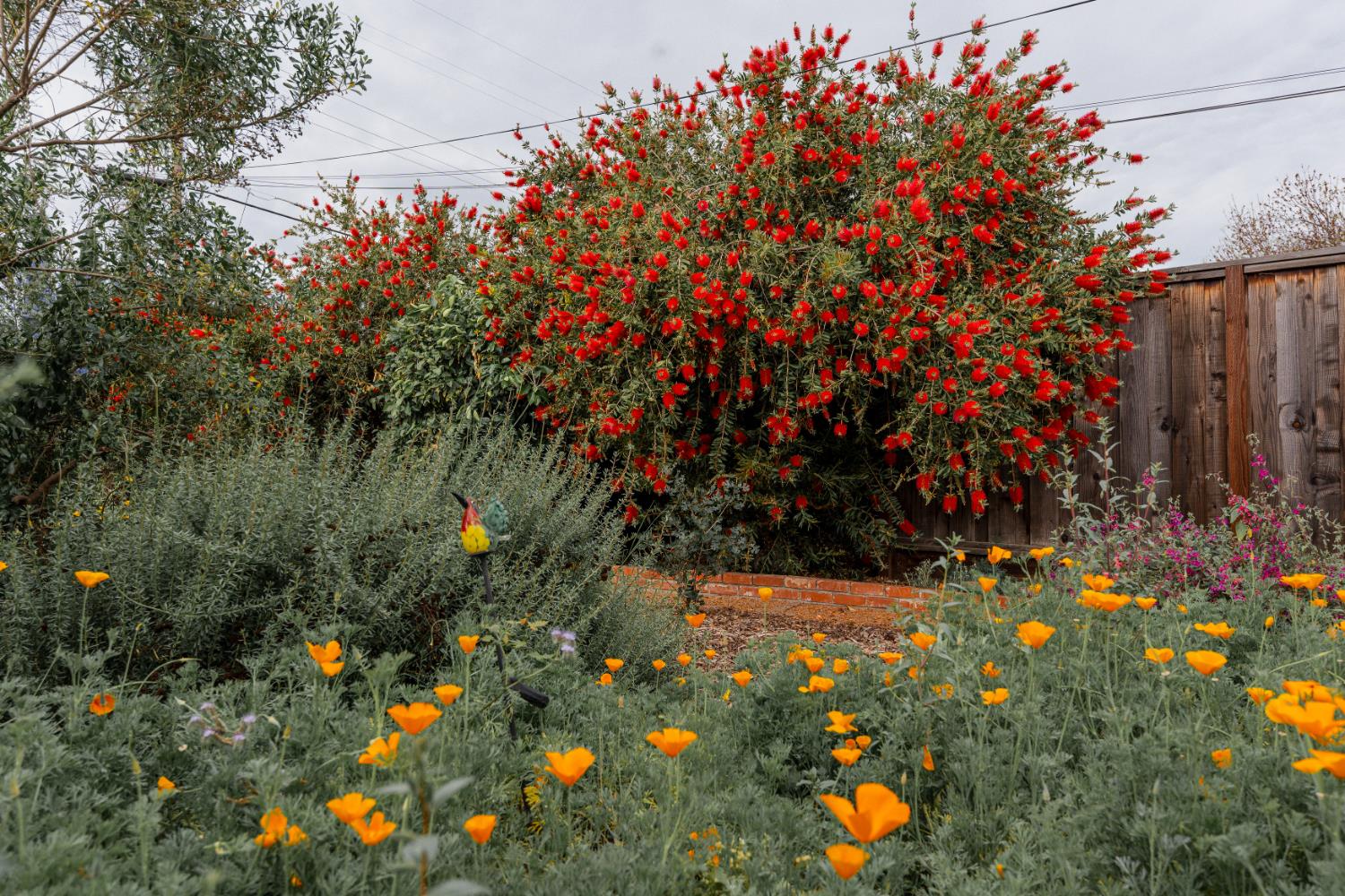 3409 Mansfield Ln, Modesto, CA 95350