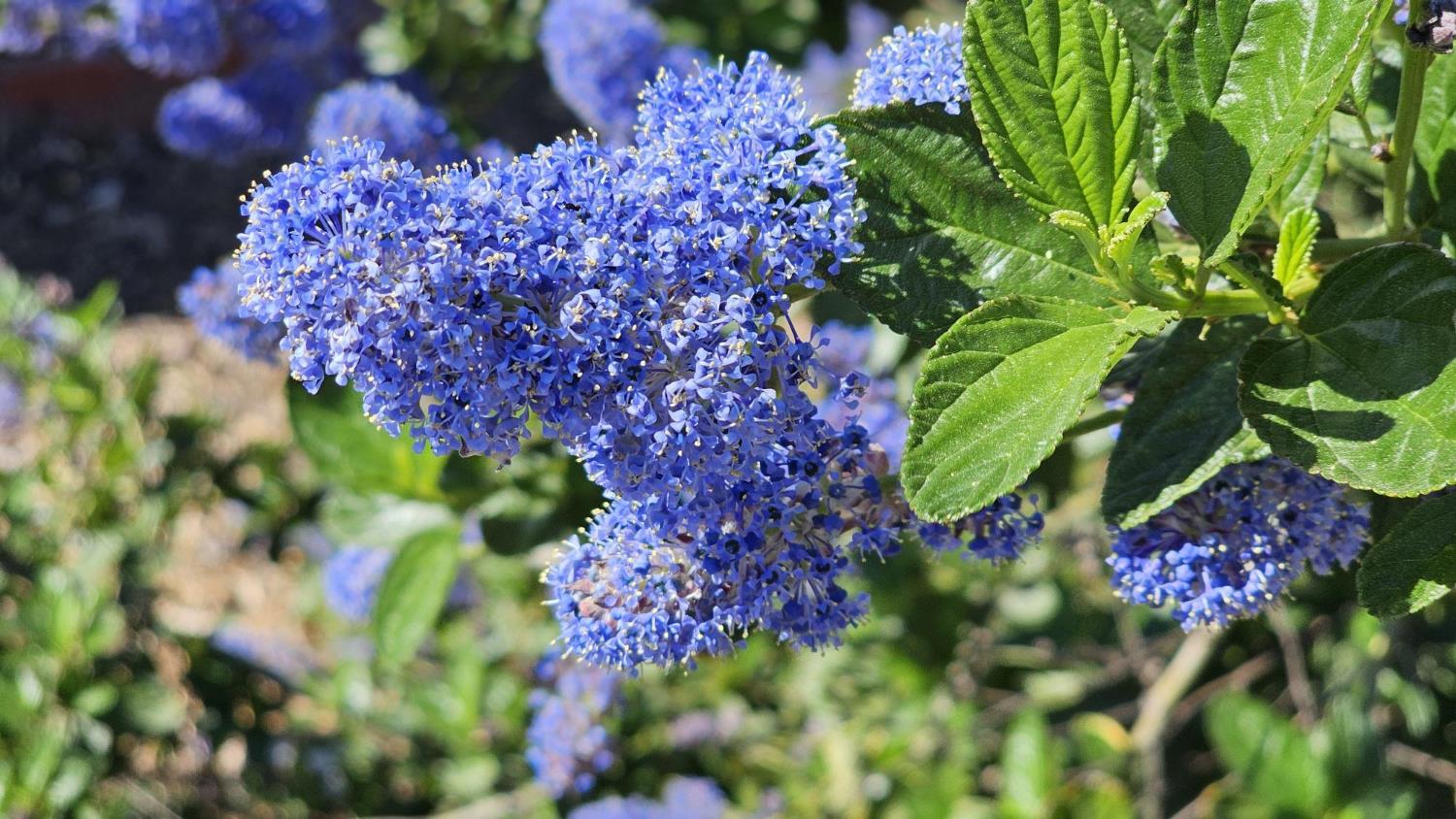 3409 Mansfield Ln, Modesto, CA 95350