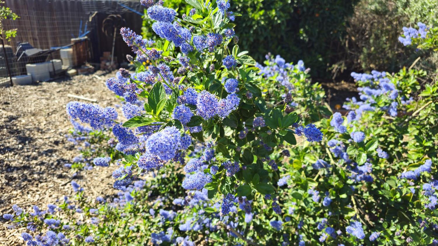 3409 Mansfield Ln, Modesto, CA 95350