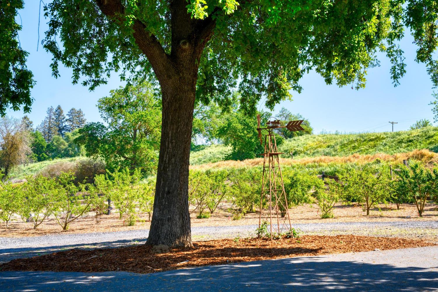 9576 Meadow Dr, Winton, CA 95388