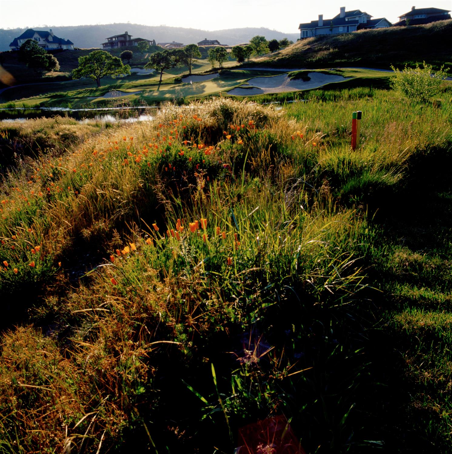 383 Quail Creek Dr, Copperopolis, CA 95228