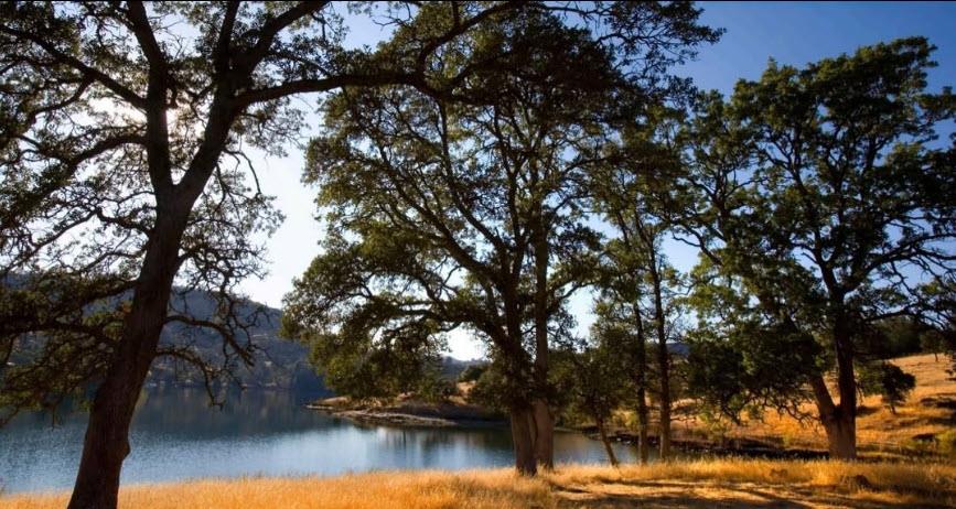 383 Quail Creek Dr, Copperopolis, CA 95228