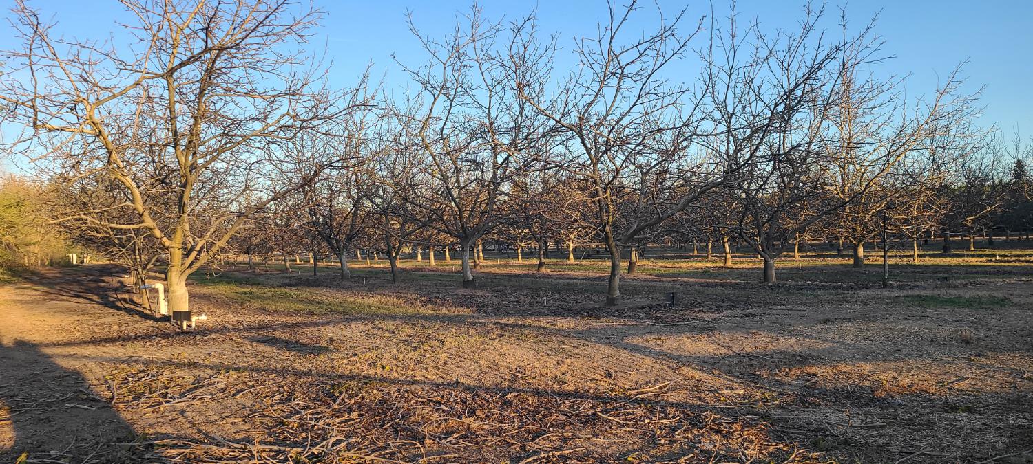 0 Webster St, Oakdale, CA 95361