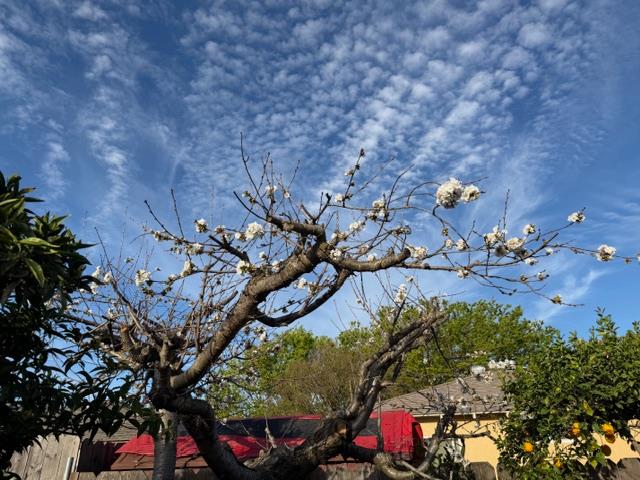 2313 San Rafael Ave, Modesto, CA 95355