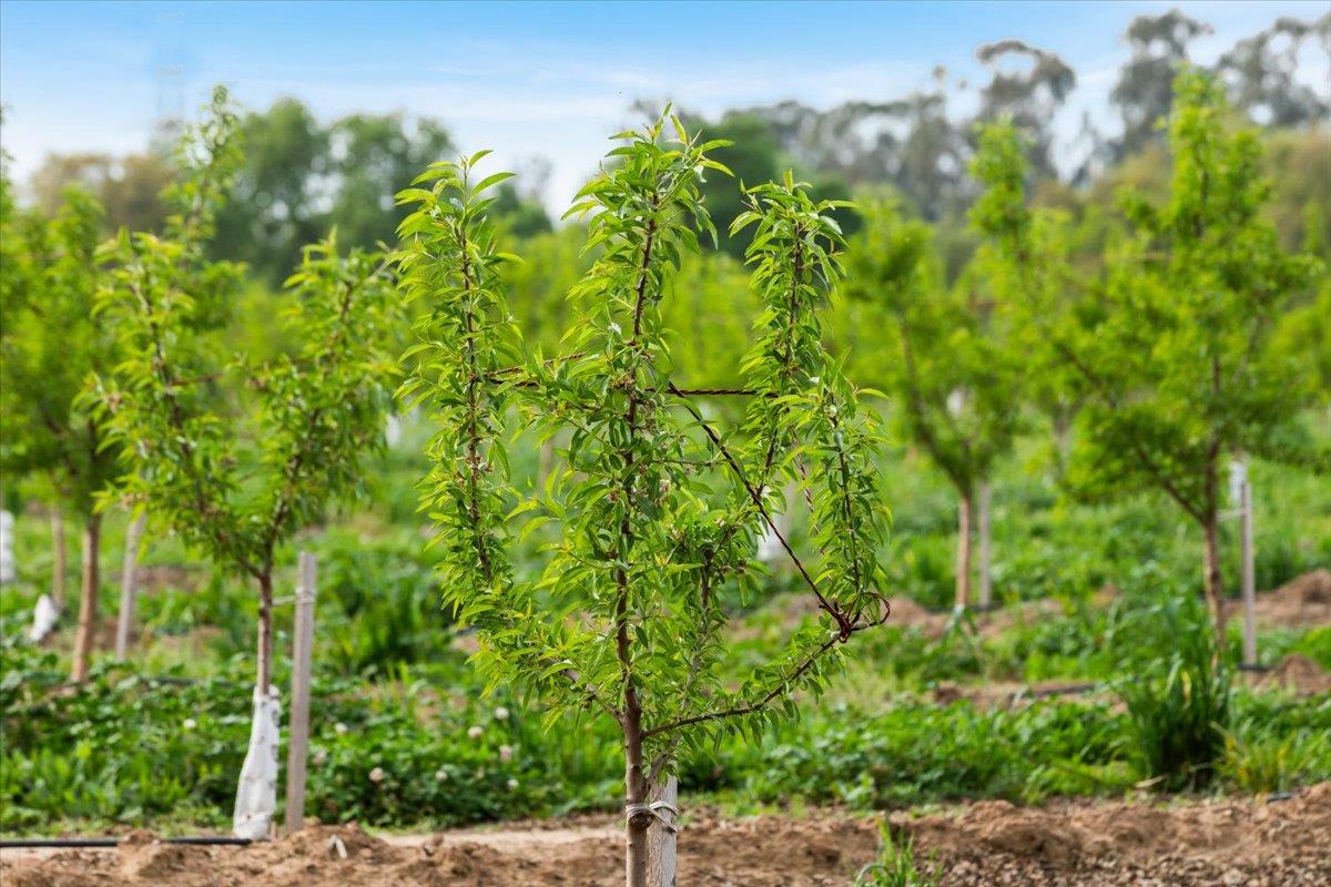 460 Albers Rd, Modesto, CA 95357