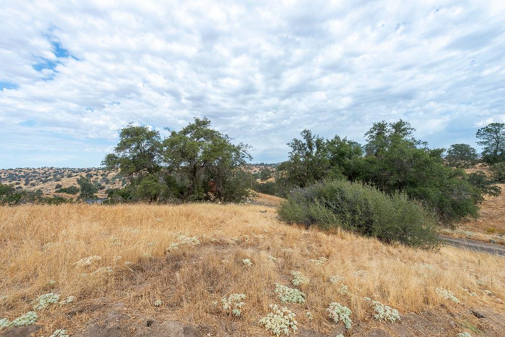 27062 Road 400, Madera, CA 93636