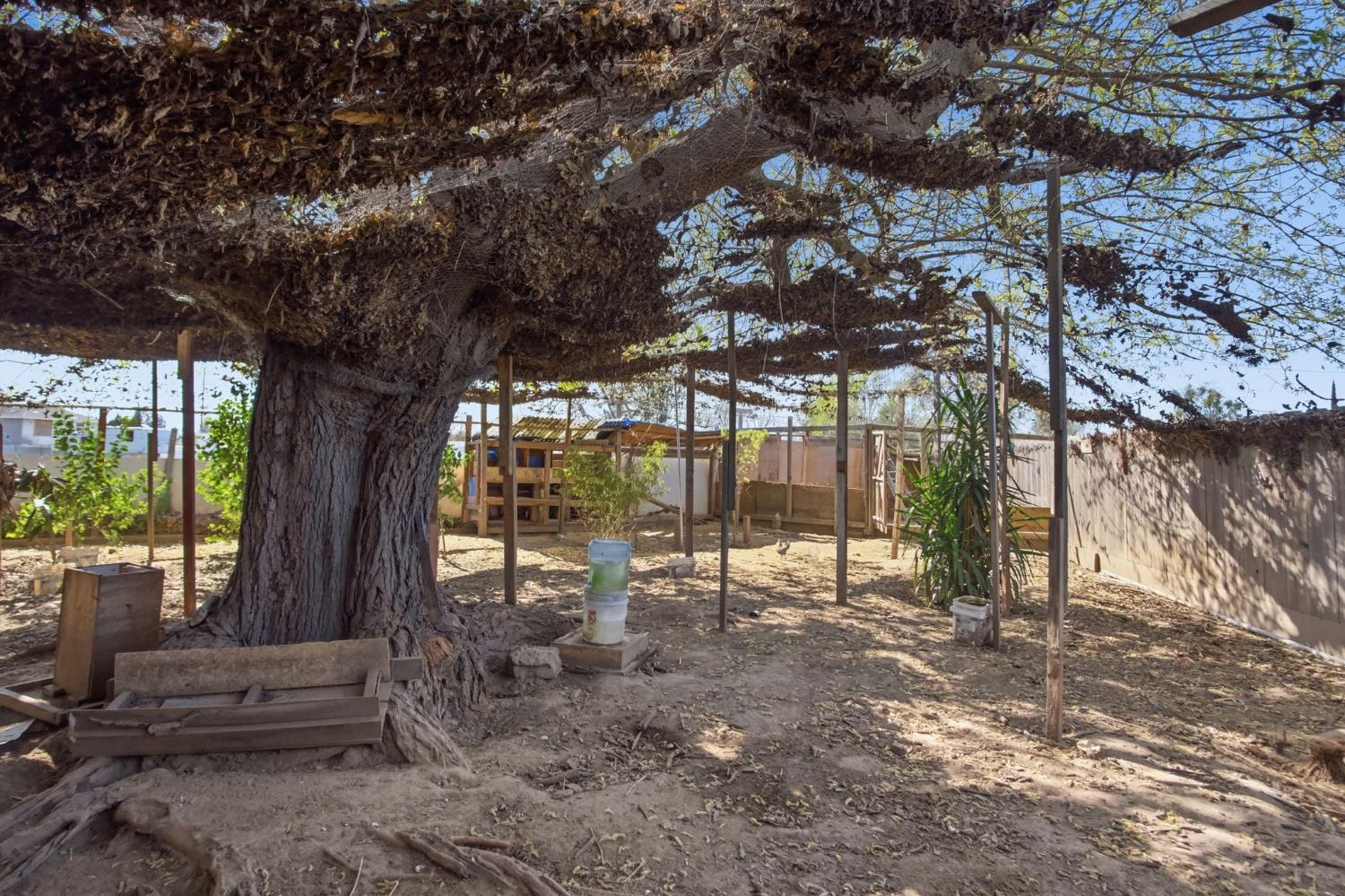 1409 Stonum Rd, Modesto, CA 95351