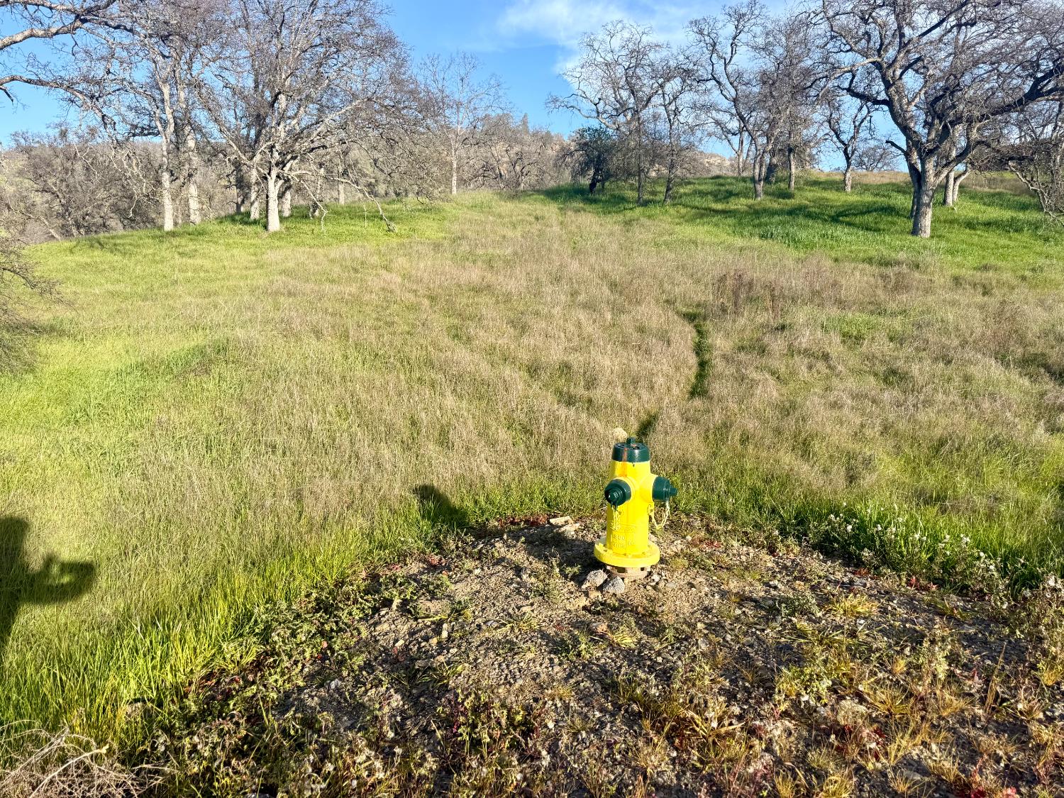 0 Pepito Dr Lot 589, La Grange, CA 95329