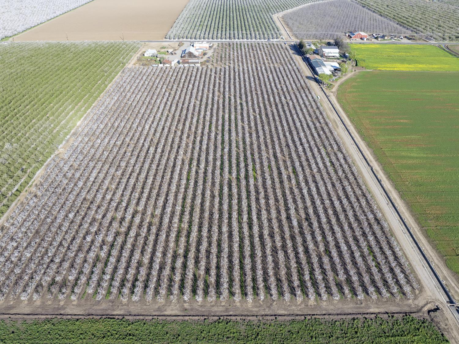 1424 Eucalyptus Ave, Patterson, CA 95363