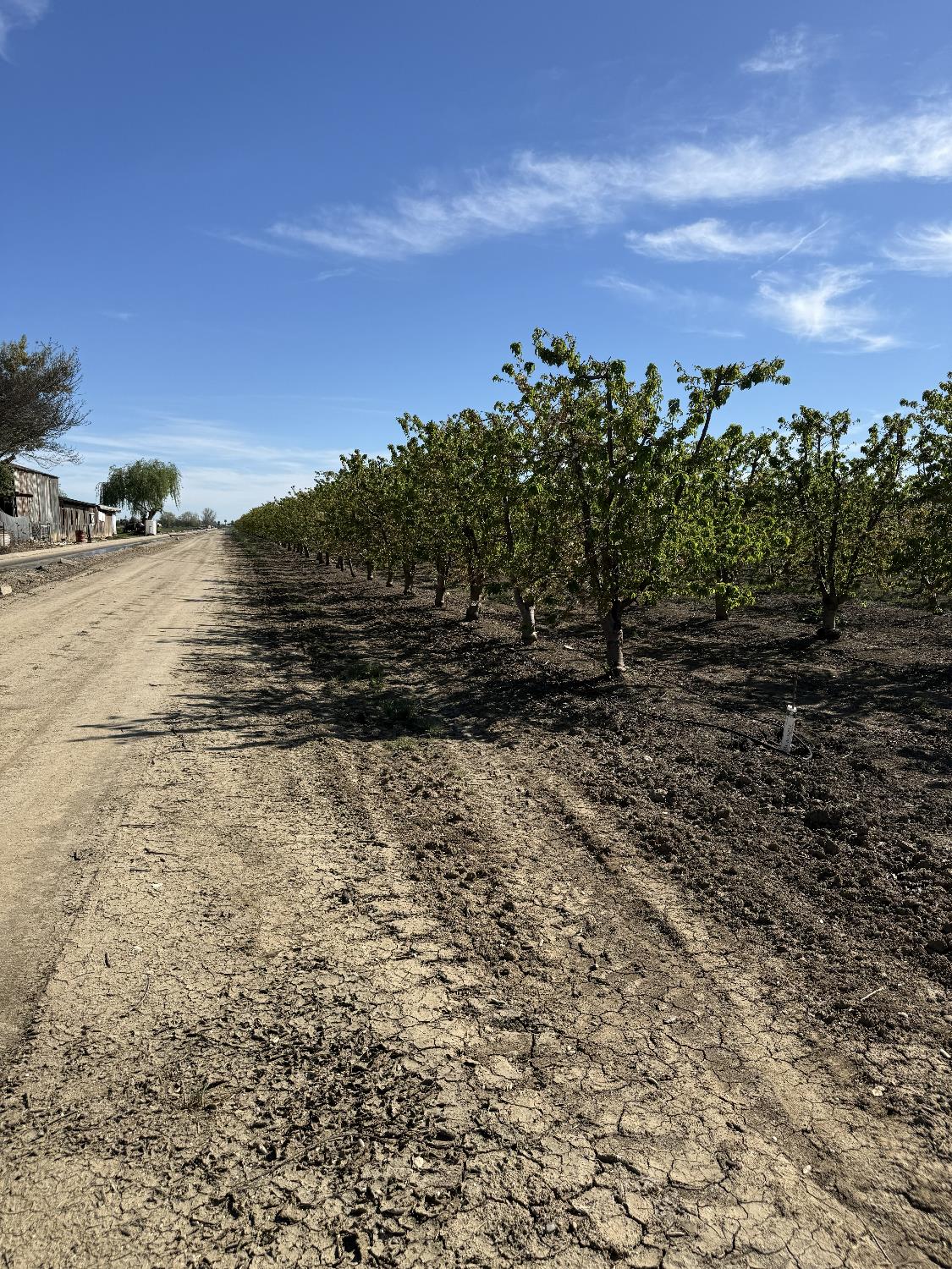 1424 Eucalyptus Ave, Patterson, CA 95363