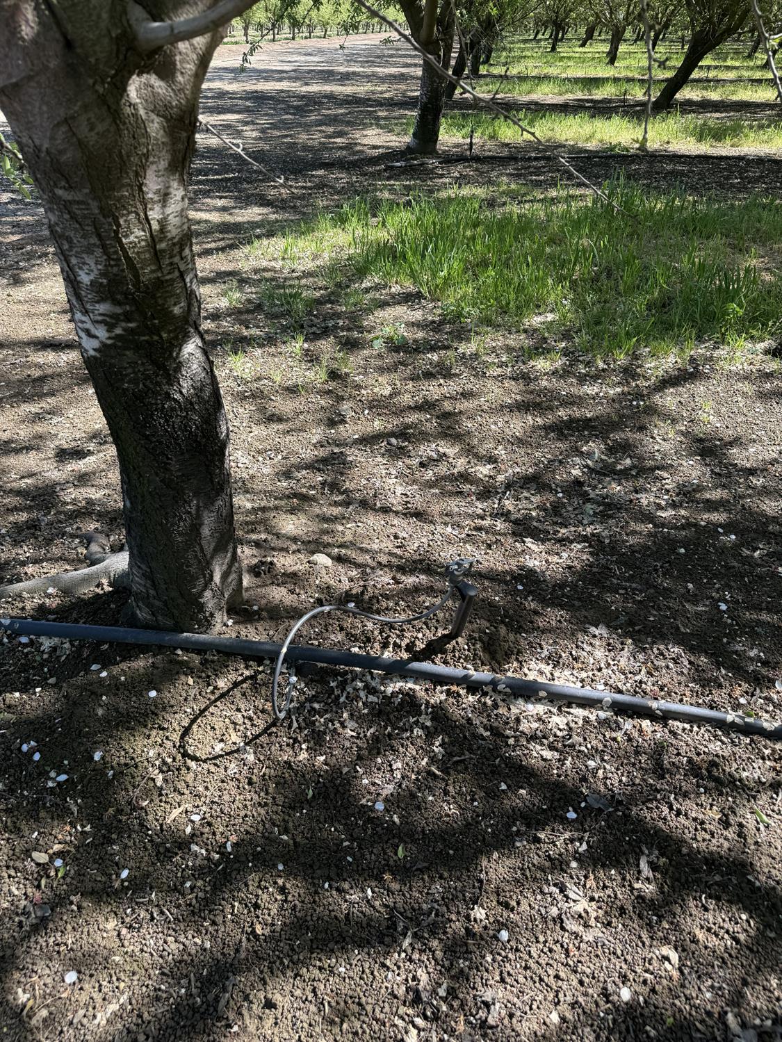 1613 Fig Ave, Patterson, CA 95363