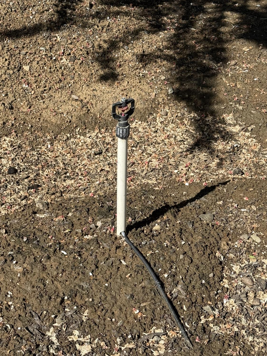 1613 Fig Ave, Patterson, CA 95363