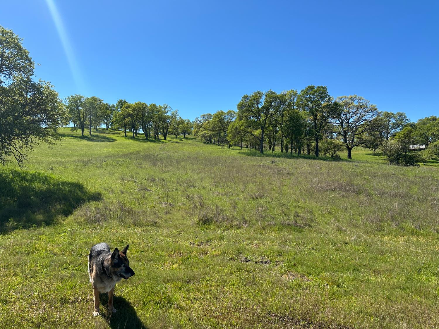 3404 Little John Rd, Copperopolis, CA 95228