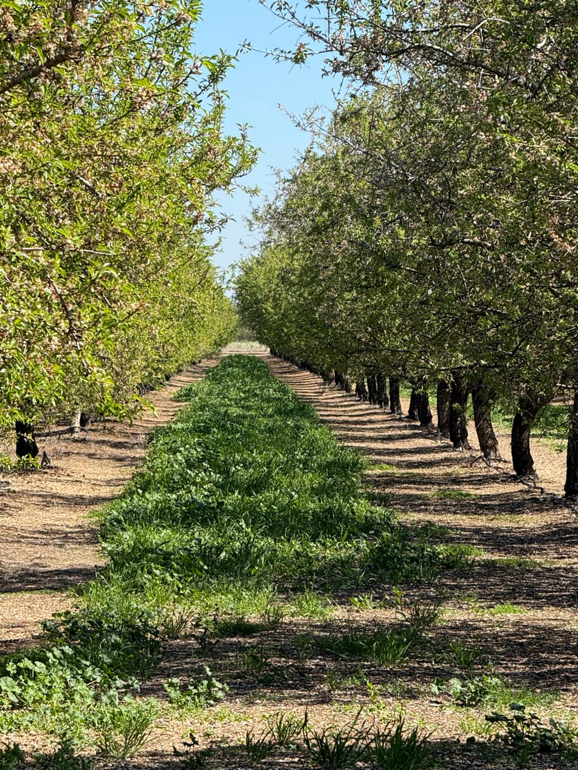 6009 Whitworth Rd, Gustine, CA 95360