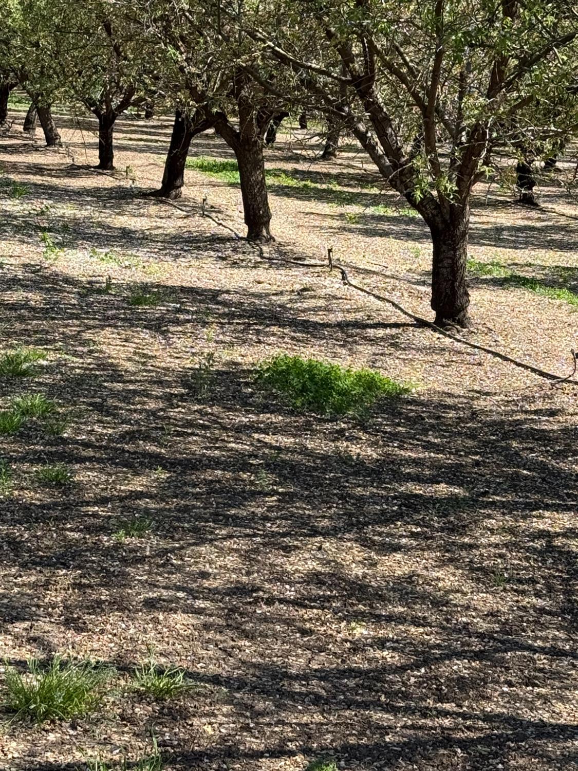 6009 Whitworth Rd, Gustine, CA 95360