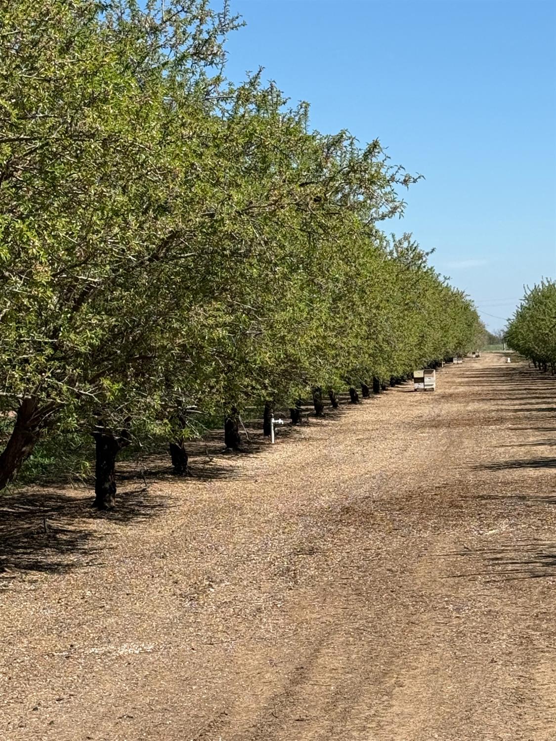 6009 Whitworth Rd, Gustine, CA 95360