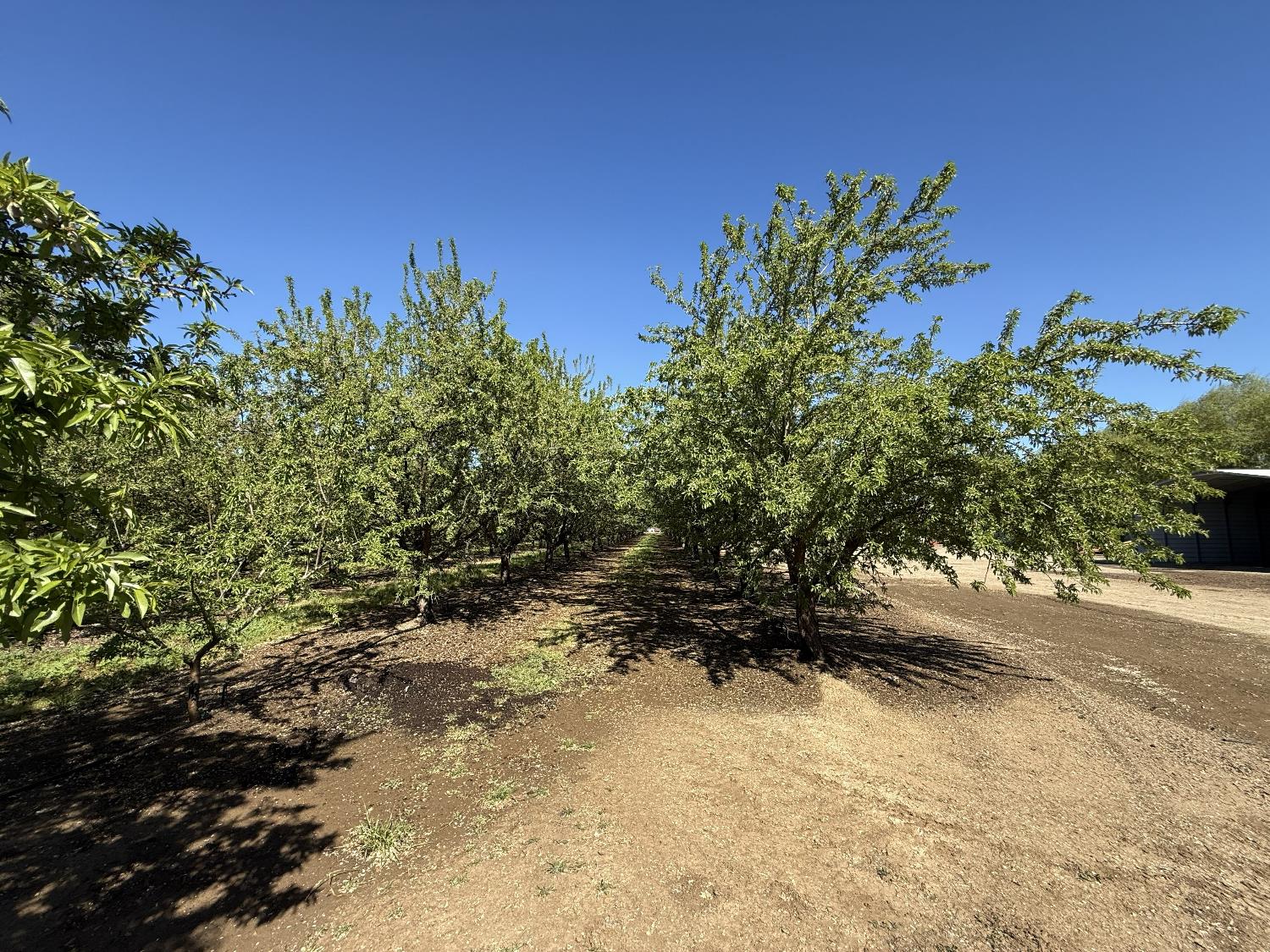 1613 Fig Ave, Patterson, CA 95363