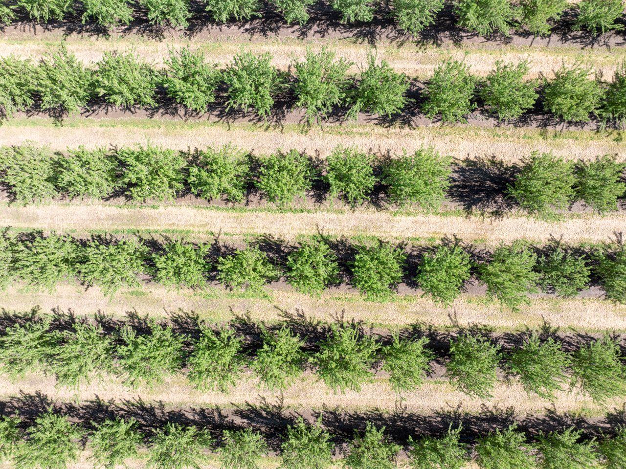 1613 Fig Ave, Patterson, CA 95363