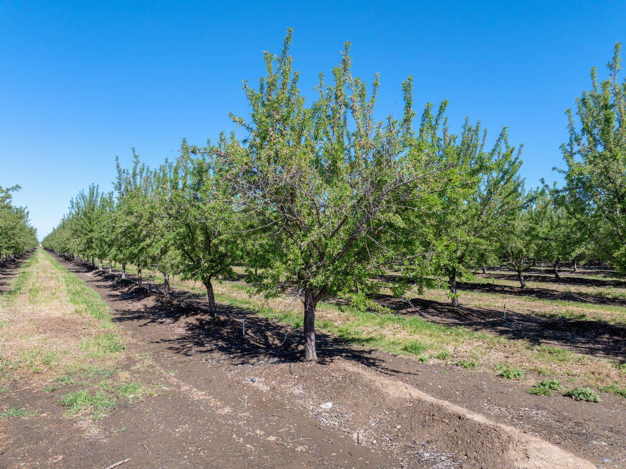 1613 Fig Ave, Patterson, CA 95363