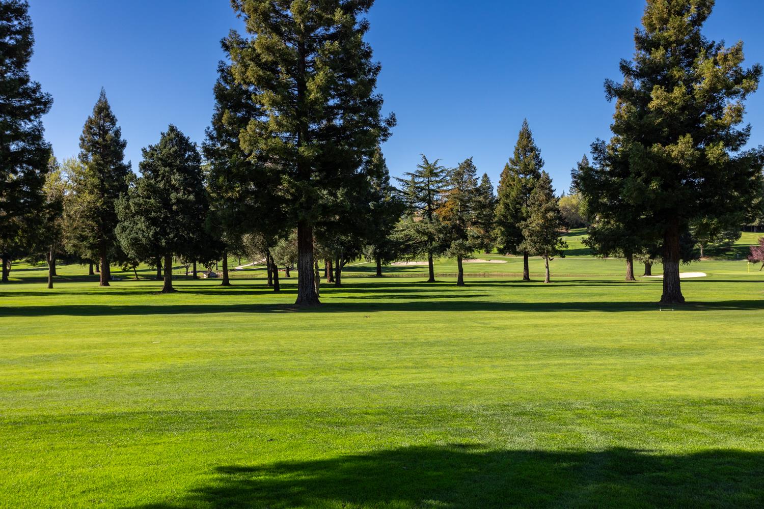 10312 Fox Borough Dr, Oakdale, CA 95361