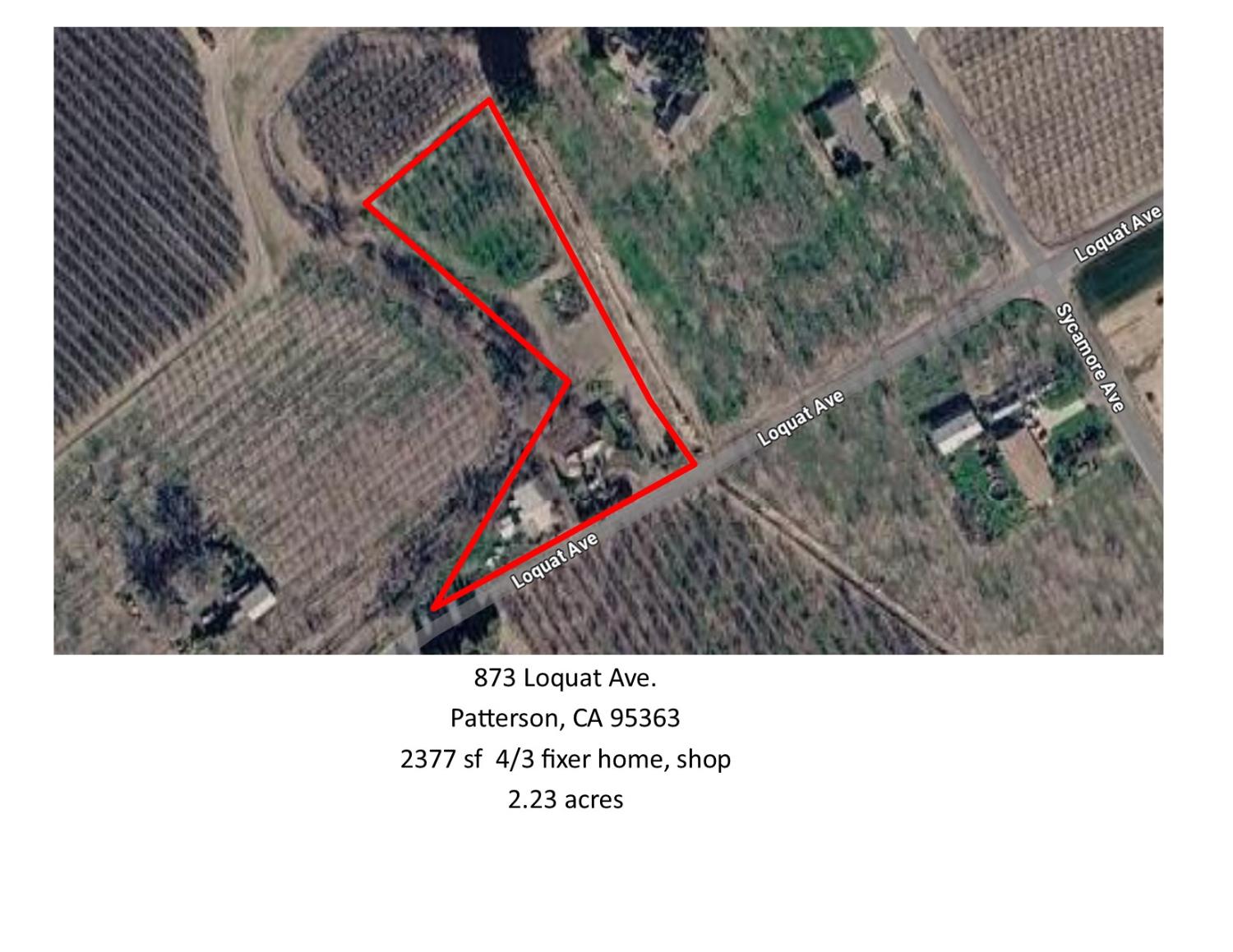 873 Loquat Ave, Patterson, CA 95363