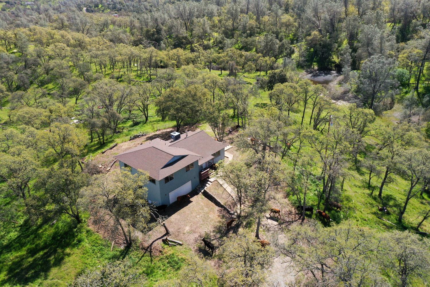 4896 Chuckwagon Dr #A, B, Copperopolis, CA 95228