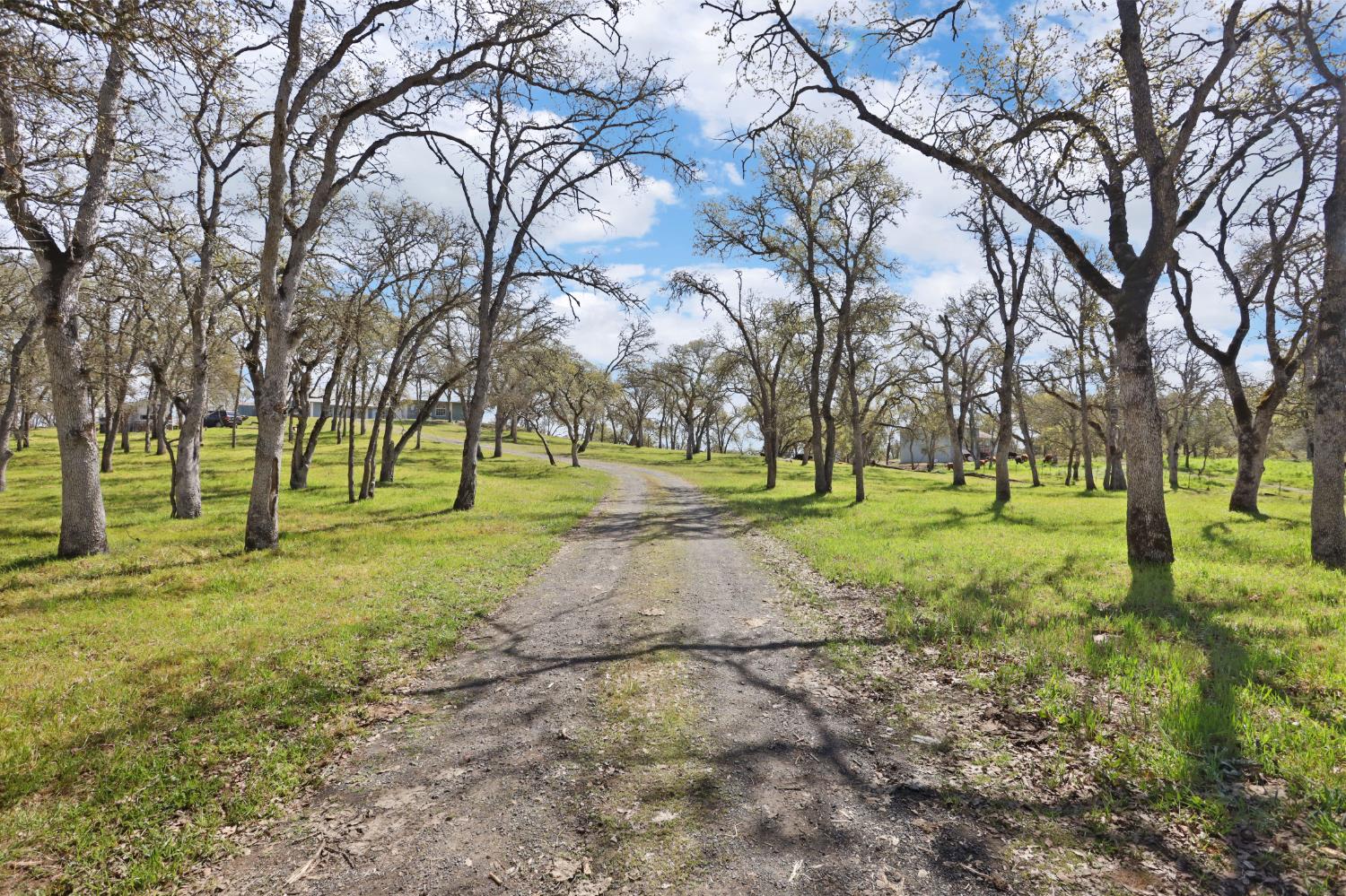 4896 Chuckwagon Dr #A, B, Copperopolis, CA 95228