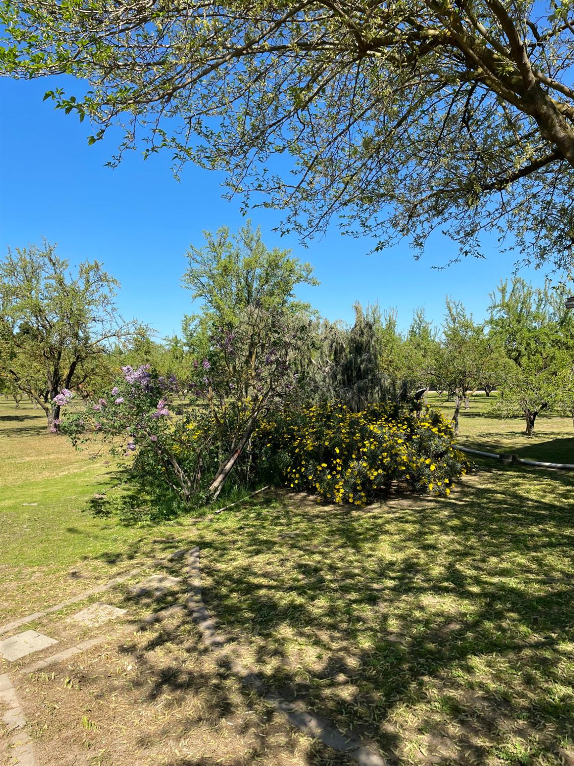 17576 E State Highway 120, Ripon, CA 95366