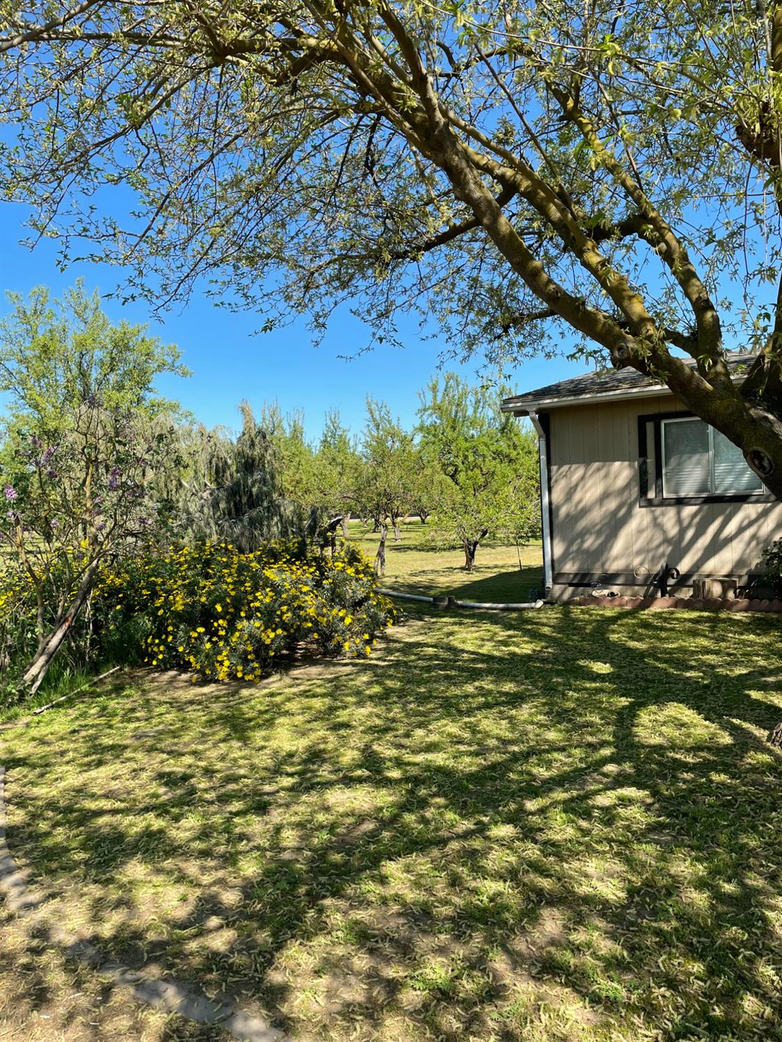 17576 E State Highway 120, Ripon, CA 95366