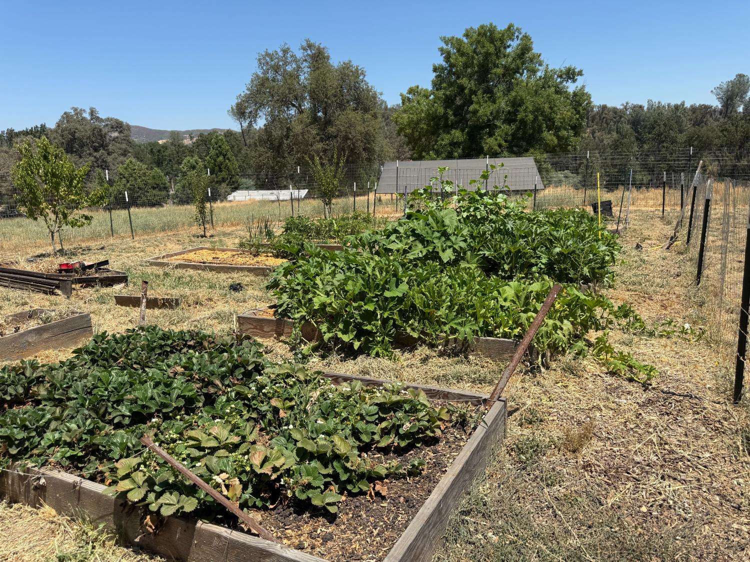 4091 Old Highway, Mariposa, CA 95338