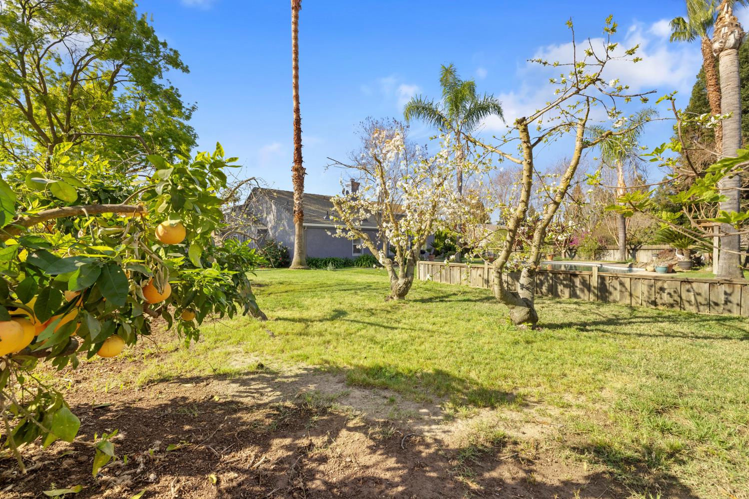 11317 Wild Oak Dr, Oakdale, CA 95361