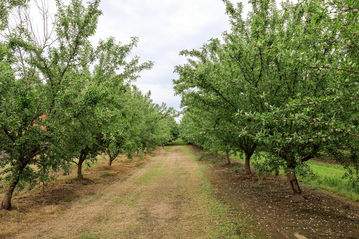 1342 Hickman Rd, Hickman, CA 95323