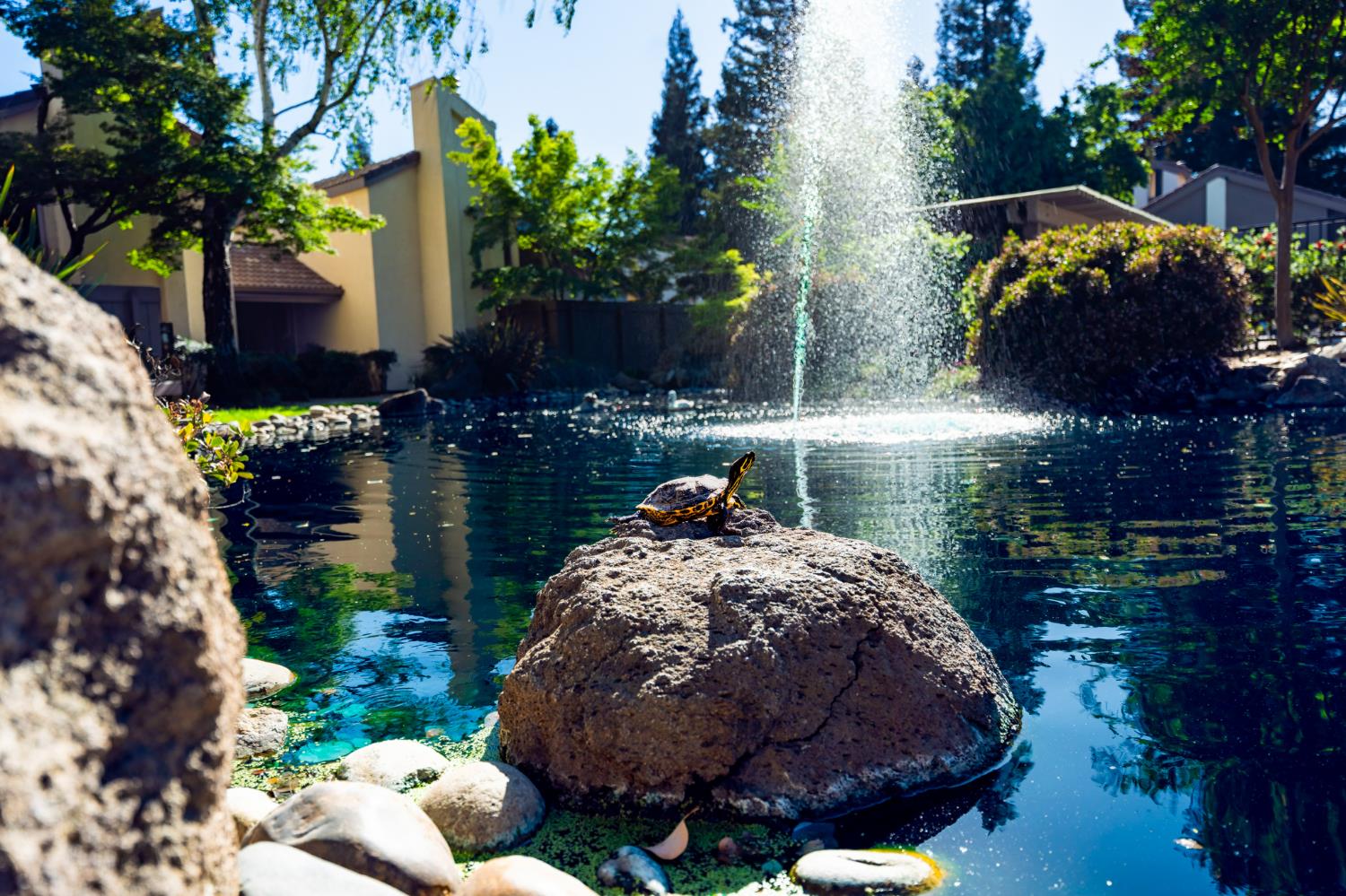 3701 Colonial Dr #89, Modesto, CA 95356