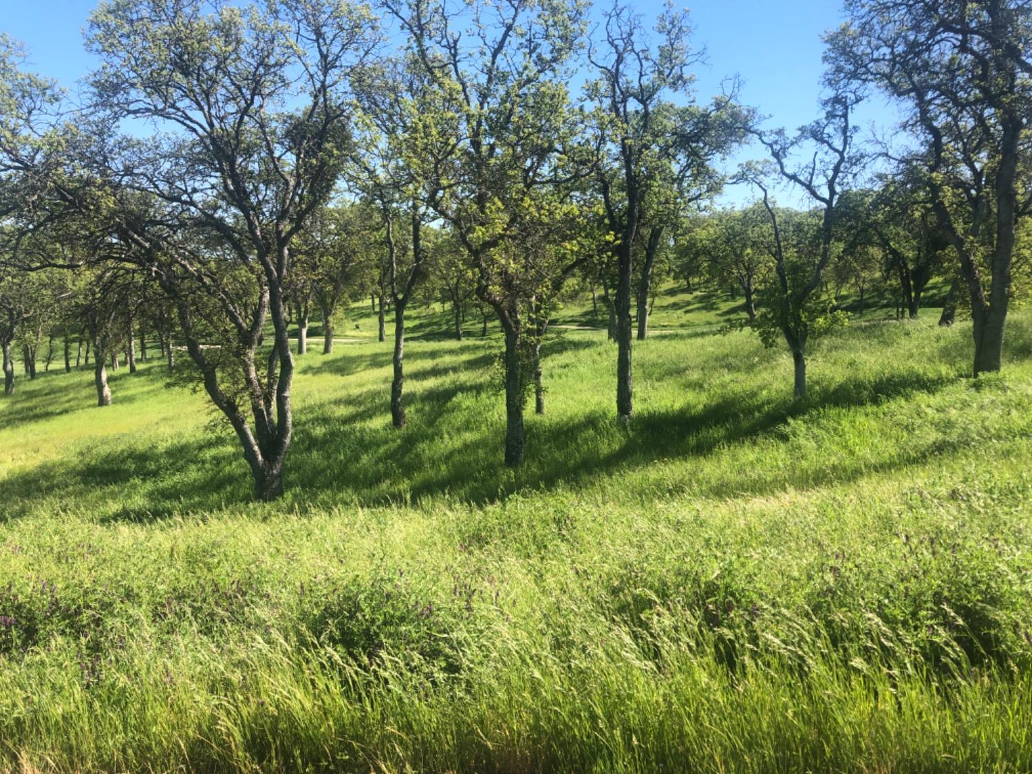 367 Knolls Dr, Copperopolis, CA 95228