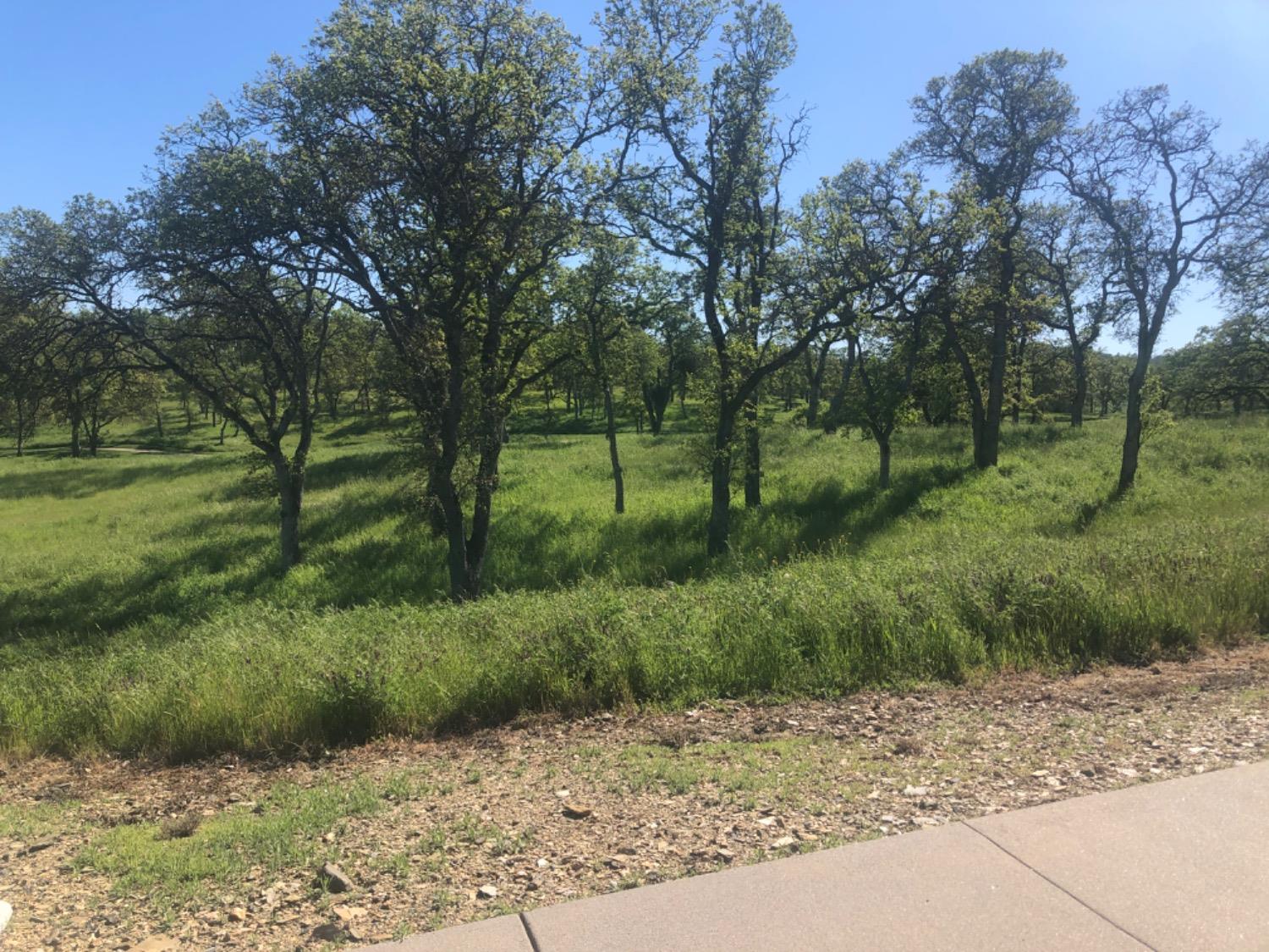 367 Knolls Dr, Copperopolis, CA 95228