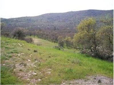 711 Hawkridge Rd, Copperopolis, CA 95228