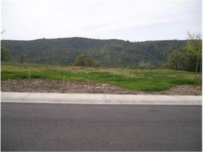 711 Hawkridge Rd, Copperopolis, CA 95228