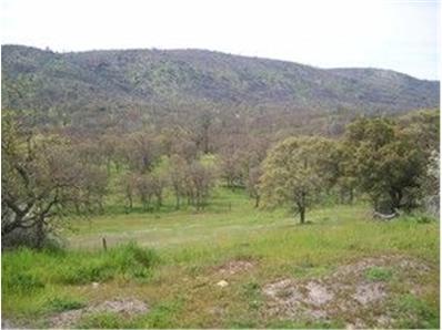 711 Hawkridge Rd, Copperopolis, CA 95228