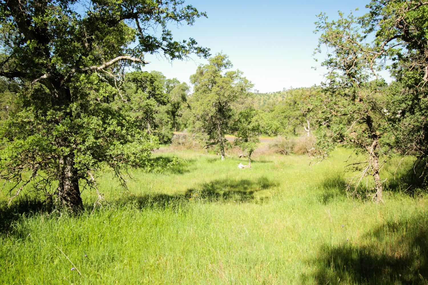 1058 Salinas St, La Grange, CA 95329