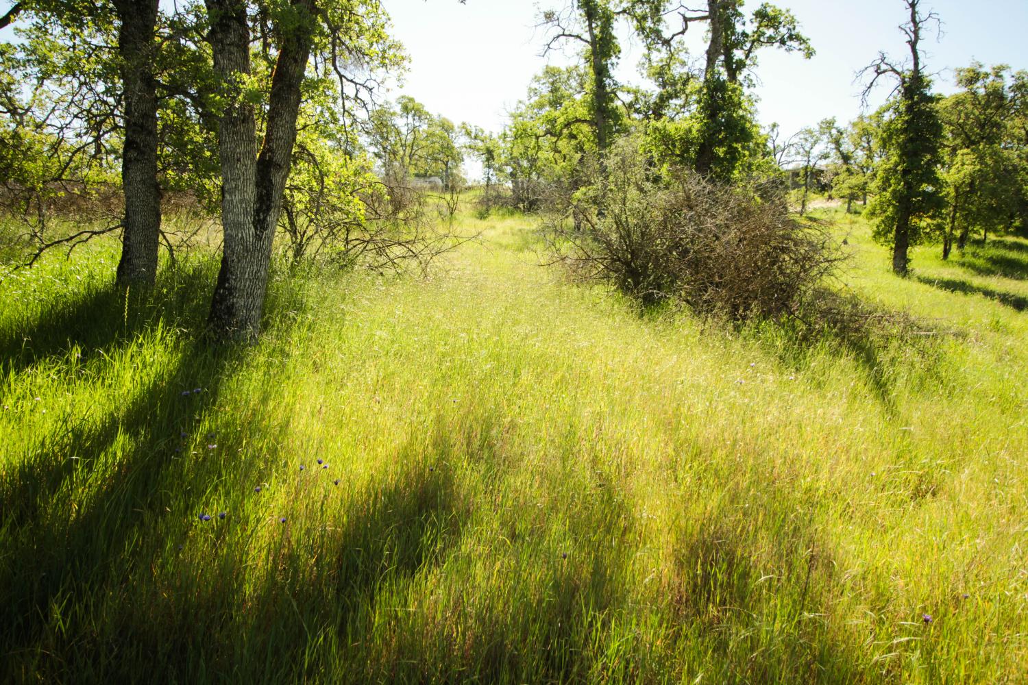 1058 Salinas St, La Grange, CA 95329