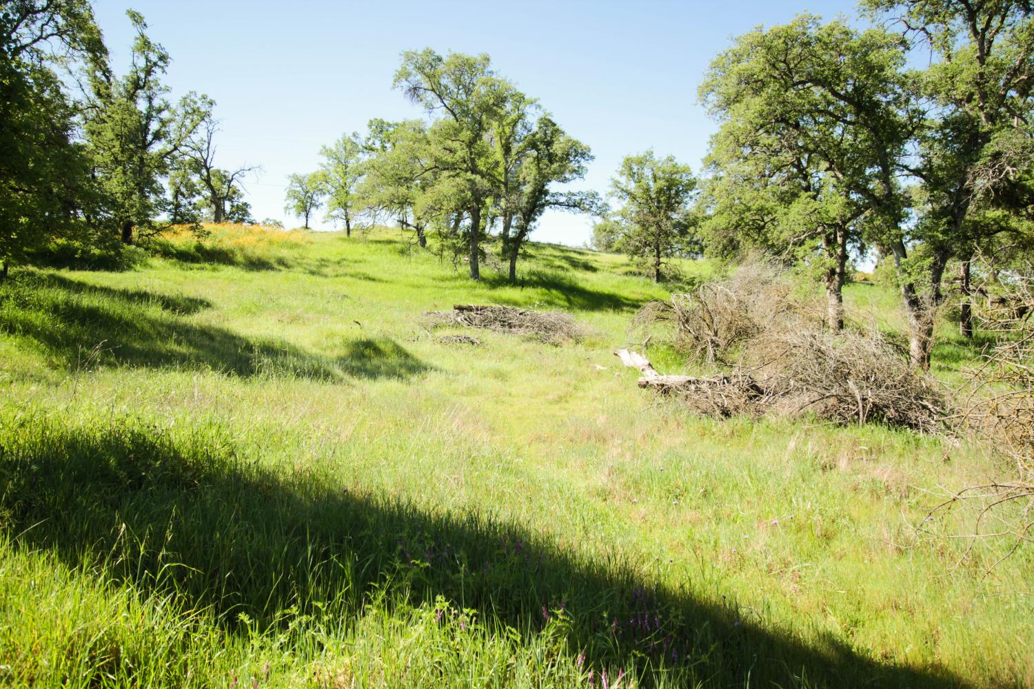 1058 Salinas St, La Grange, CA 95329