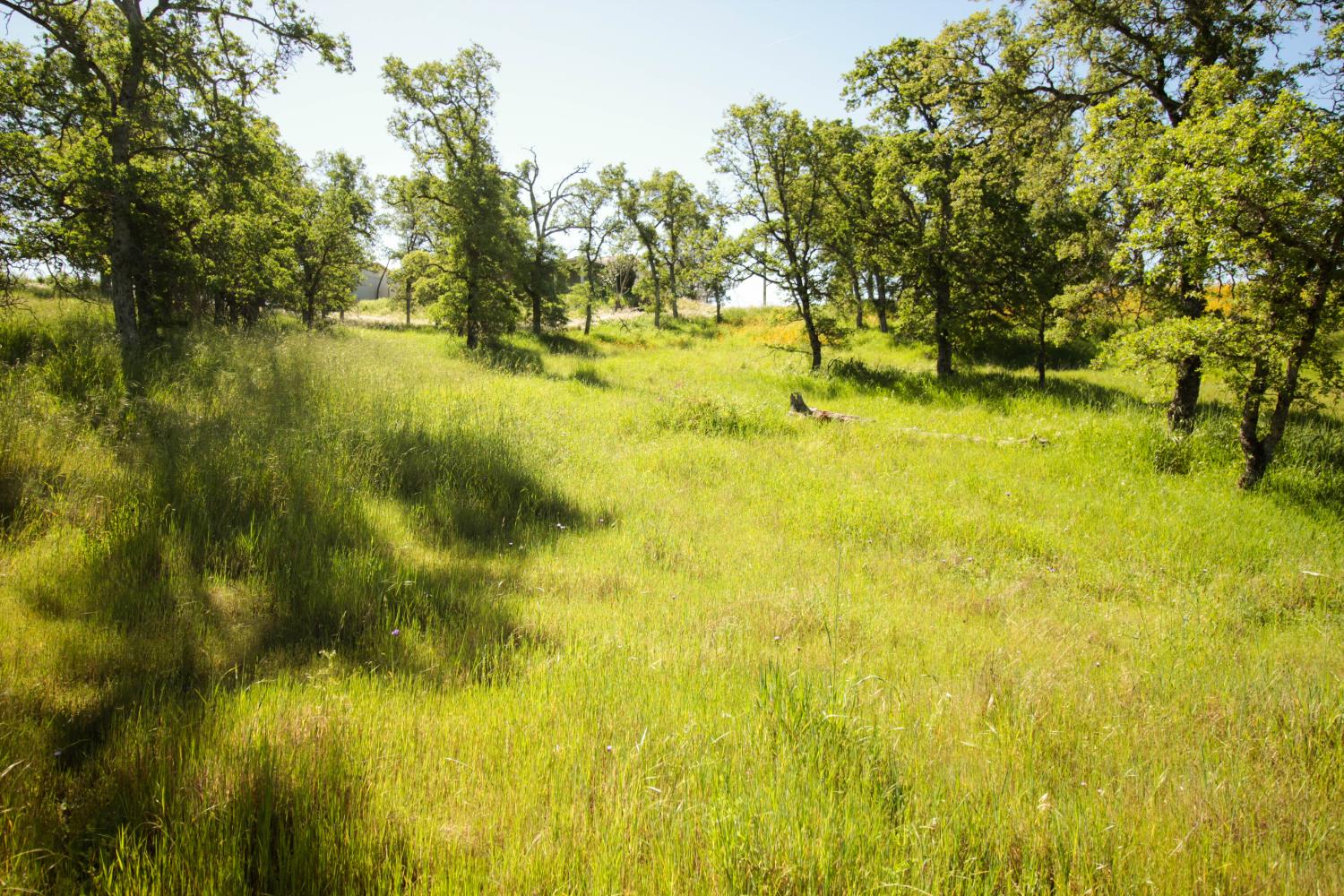 1058 Salinas St, La Grange, CA 95329