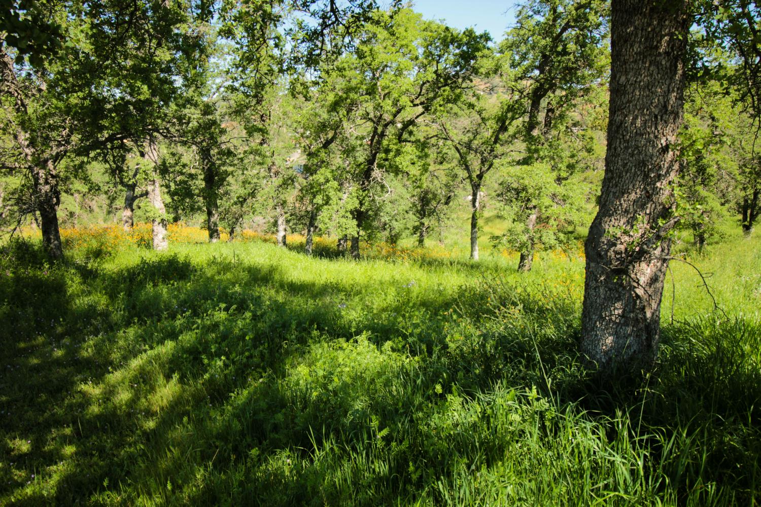 1058 Salinas St, La Grange, CA 95329