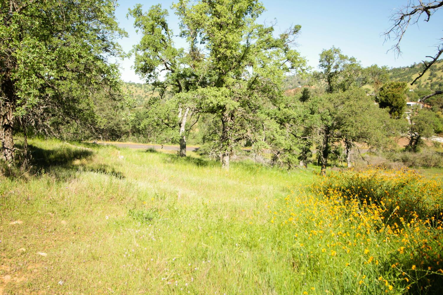 1058 Salinas St, La Grange, CA 95329