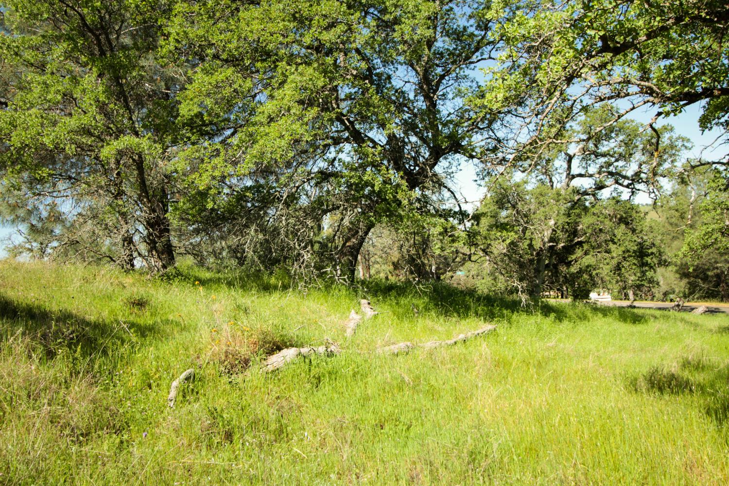 1058 Salinas St, La Grange, CA 95329