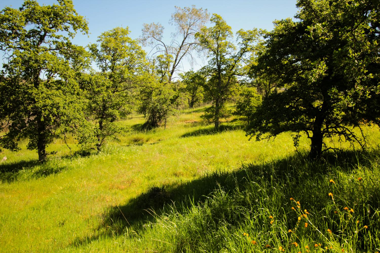 1058 Salinas St, La Grange, CA 95329