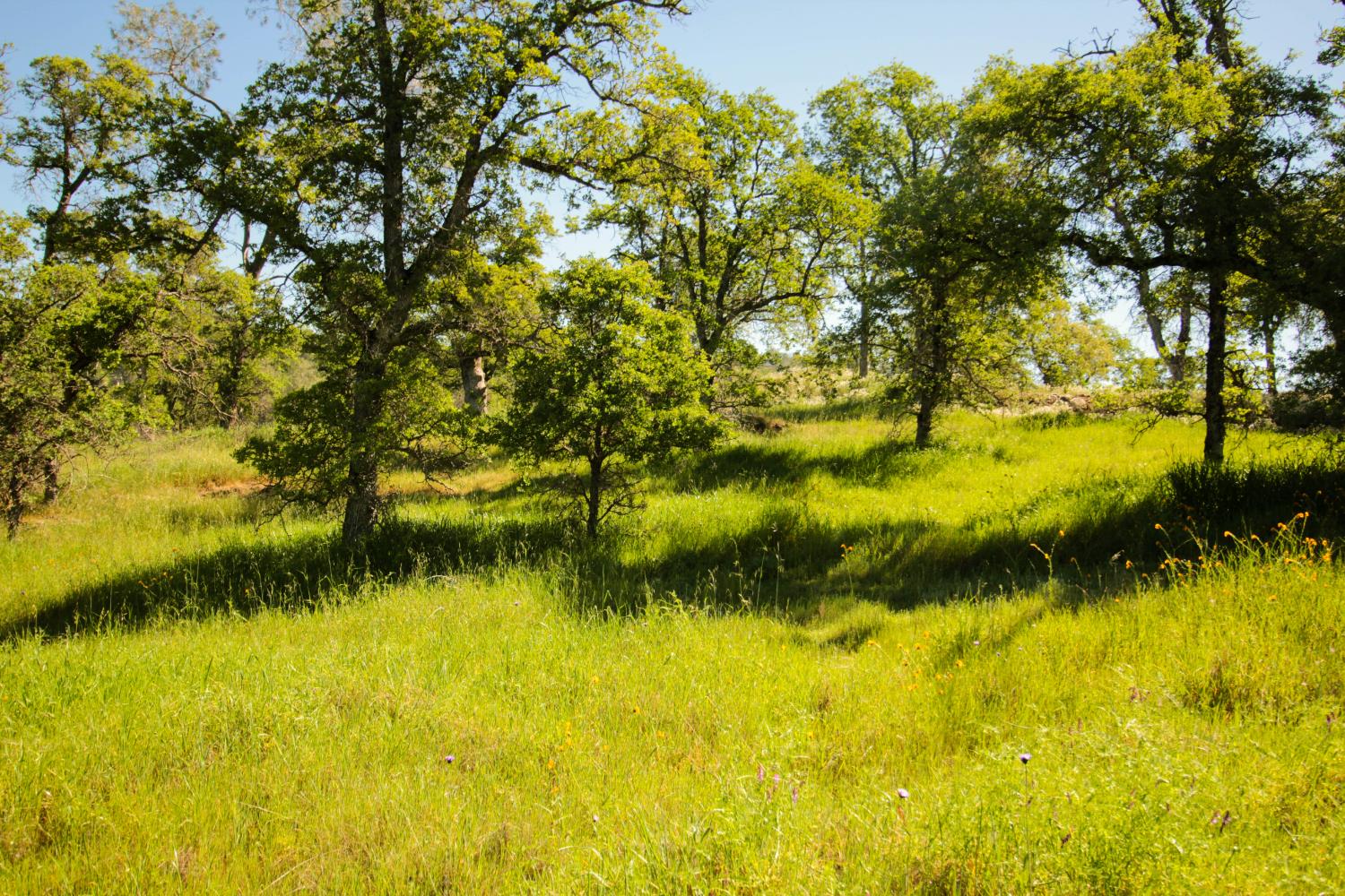 1058 Salinas St, La Grange, CA 95329