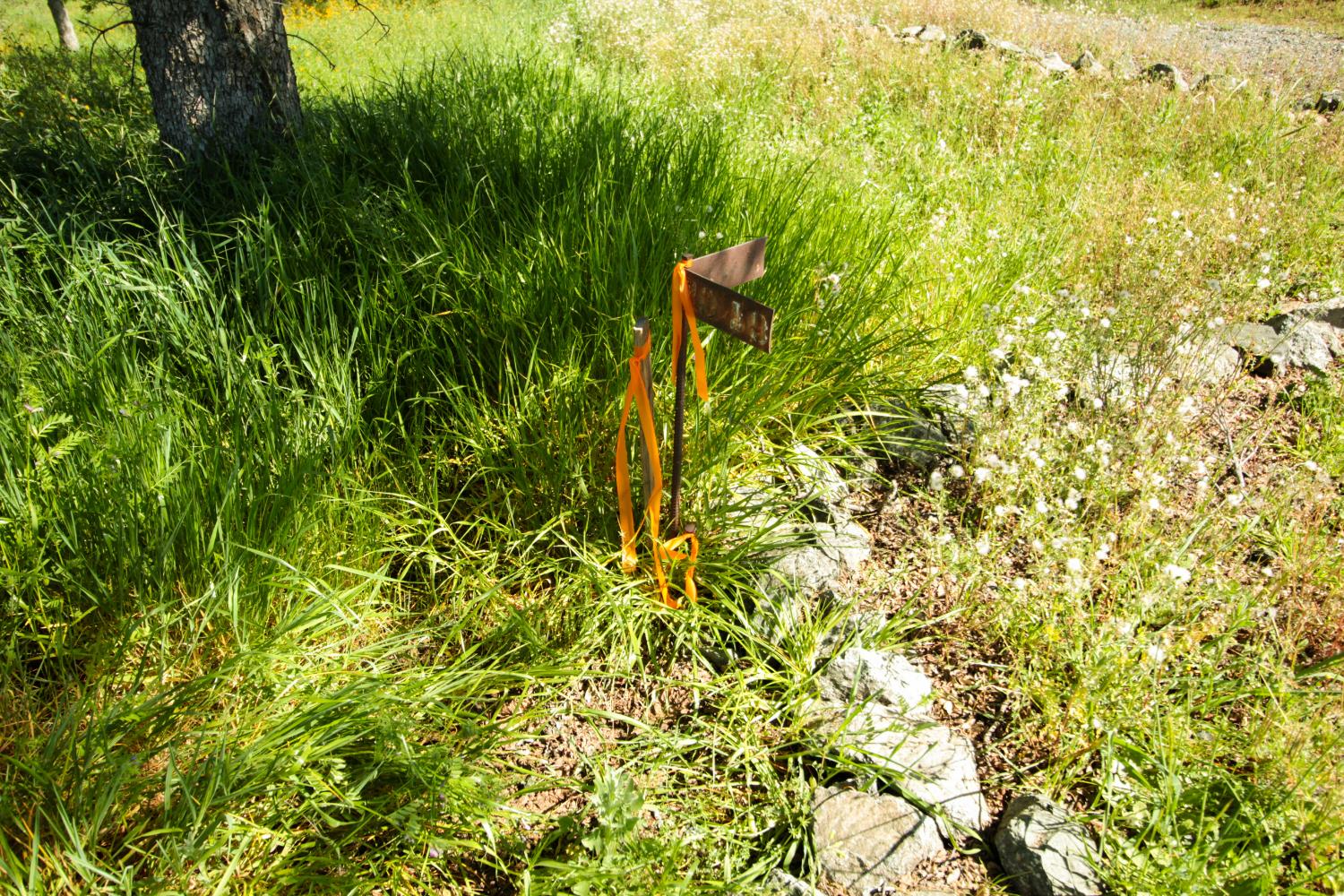 1058 Salinas St, La Grange, CA 95329