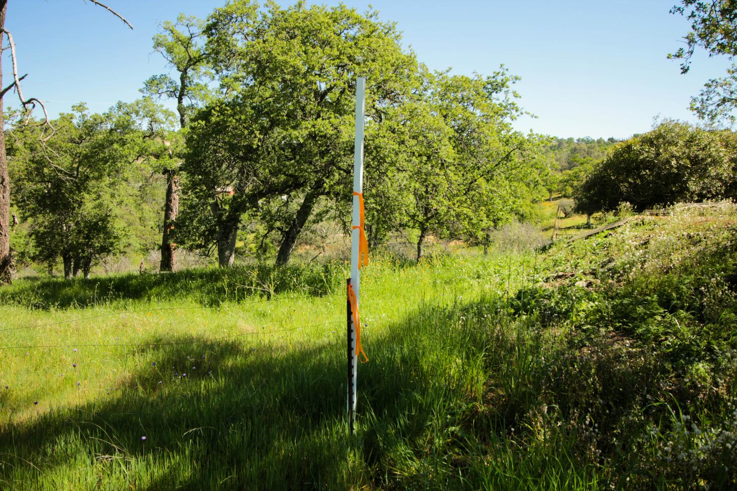 1058 Salinas St, La Grange, CA 95329