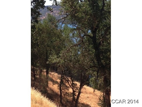 4319 Tomahawk Trl, Copperopolis, CA 95228